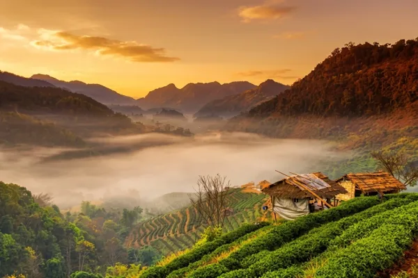 Chai Prakan