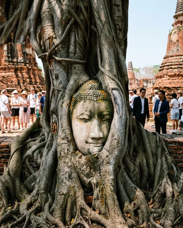 Day Trips From Bangkok - Transport & Tours