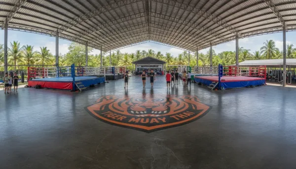 Tiger Muay Thai Phuket Guide: Training, Costs & Tips